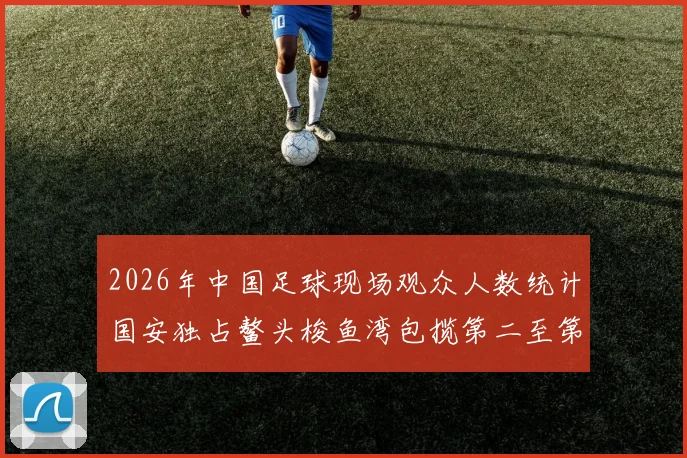 2026年中国足球现场观众人数统计国安独占鳌头梭鱼湾包揽第二至第七位